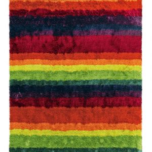 Chien Rug Dro Multicolor