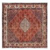 Handmade Persian Rug Bidjar 200x200cm