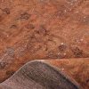Handmade Persian VintageRug Brown/Orange 251x332cm - Image 4