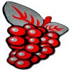 D-sign Rug 1D0110 Red