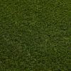 D-sign Artificial Grass 1P0193 Green - Image 3
