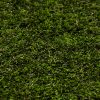 D-sign Artificial Grass 1P0193 Green - Image 4